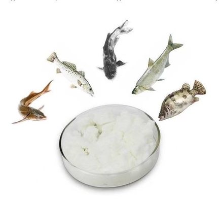 Buy Aquatic Feed Additive Mtl Cas 62637-93-8 Trimethylamine N-oxide Dihydrated / TMAO Fish Crab for Chemical Raw Material
